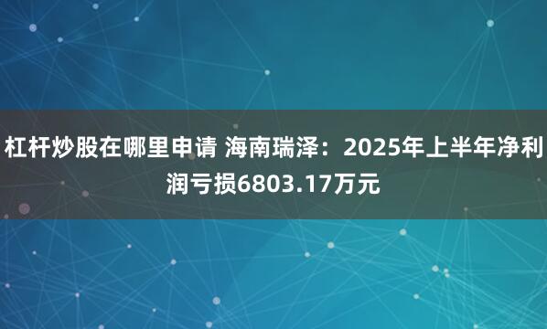 杠杆炒股在哪里申请 海南瑞泽：2025年上半年净利润亏损6803.17万元