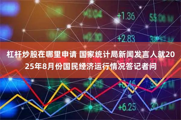 杠杆炒股在哪里申请 国家统计局新闻发言人就2025年8月份国民经济运行情况答记者问