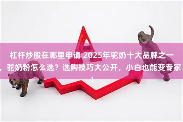 杠杆炒股在哪里申请 2025年驼奶十大品牌之一，驼奶粉怎么选？选购技巧大公开，小白也能变专家！