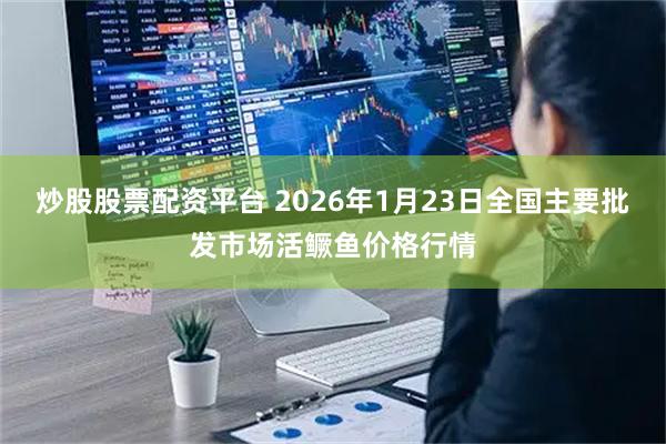 炒股股票配资平台 2026年1月23日全国主要批发市场活鳜鱼价格行情