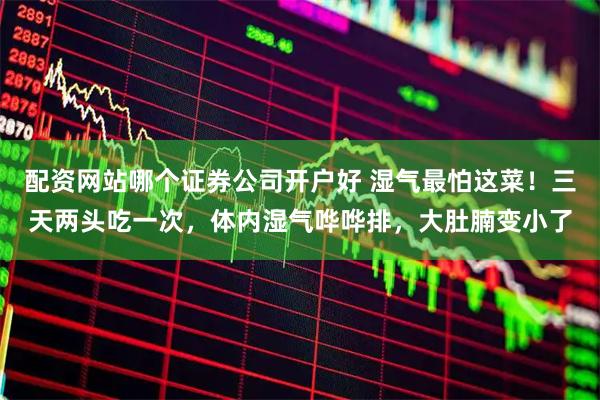 配资网站哪个证券公司开户好 湿气最怕这菜！三天两头吃一次，体内湿气哗哗排，大肚腩变小了